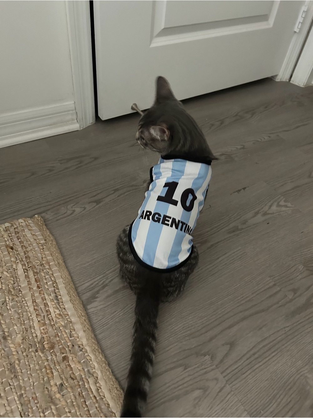 Argentina Messi Dog/Cat Jersey